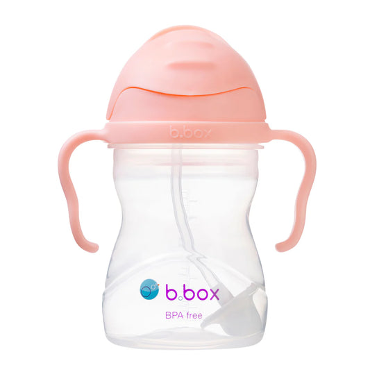 b.box Sippy Straw Cup 240ml (tutti frutti)