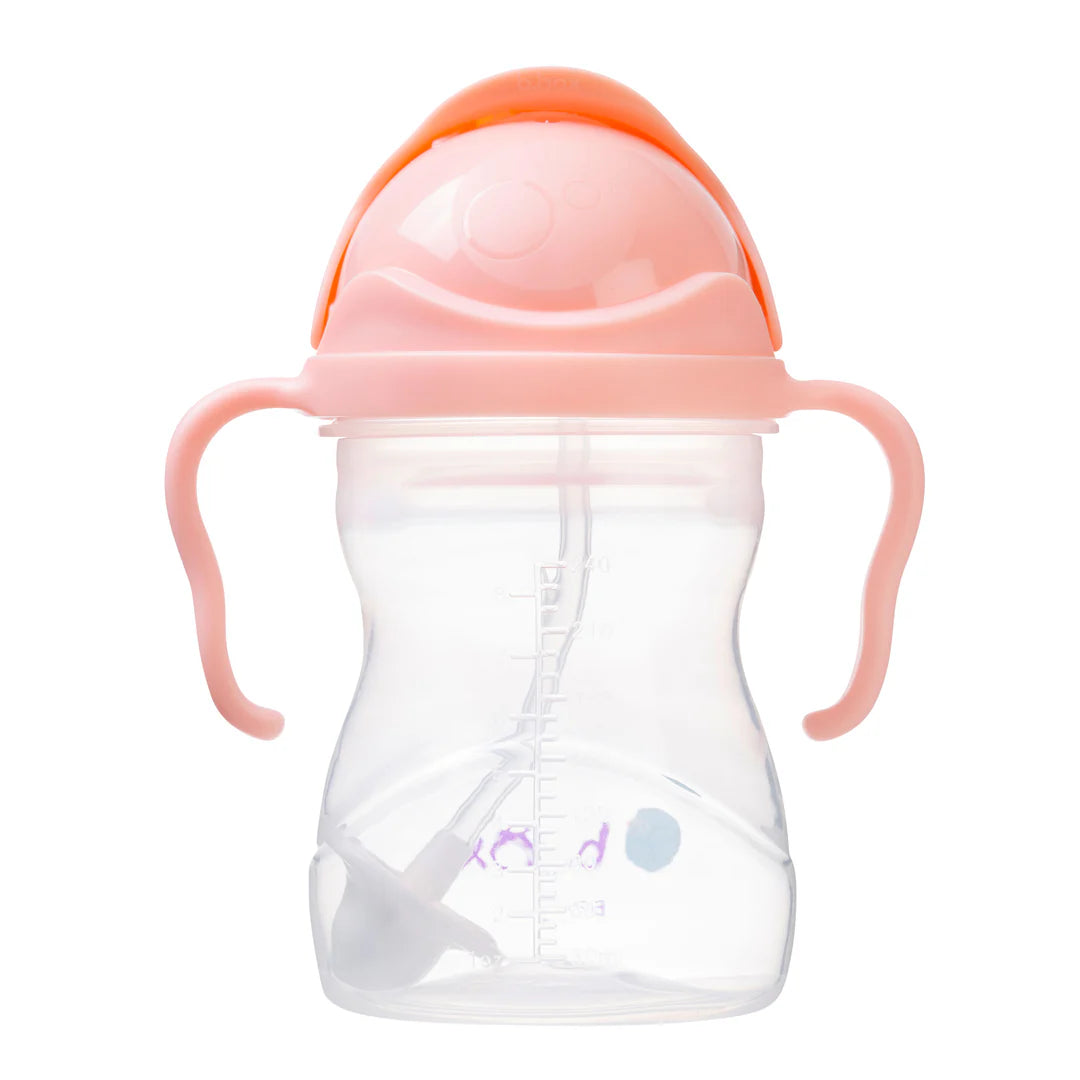 b.box Sippy Straw Cup 240ml (tutti frutti)