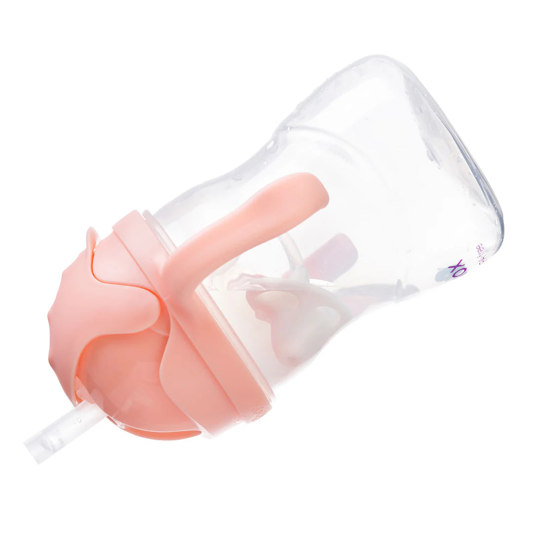 b.box Sippy Straw Cup 240ml (tutti frutti)