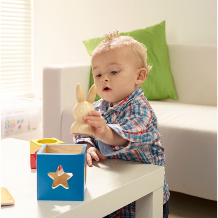 Smart Games Bunny Boo (Age 2+)