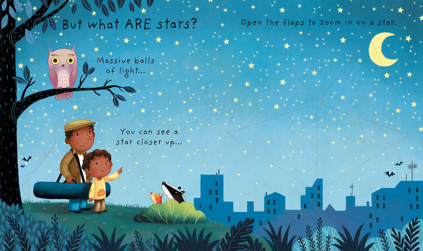 USBORNE Lift-the-Flap Very First Questions and Answers: What are Stars?